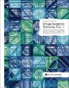 Grunge Geometric Textures Vol. 1 incl. DVD  