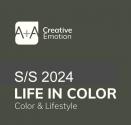A + A Life in Color S/S 2024 (24.2)  
