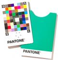 Pantone Color Match Card single  