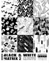 Black & White Matrix Vol. 2 incl. DVD Paperback Edition 